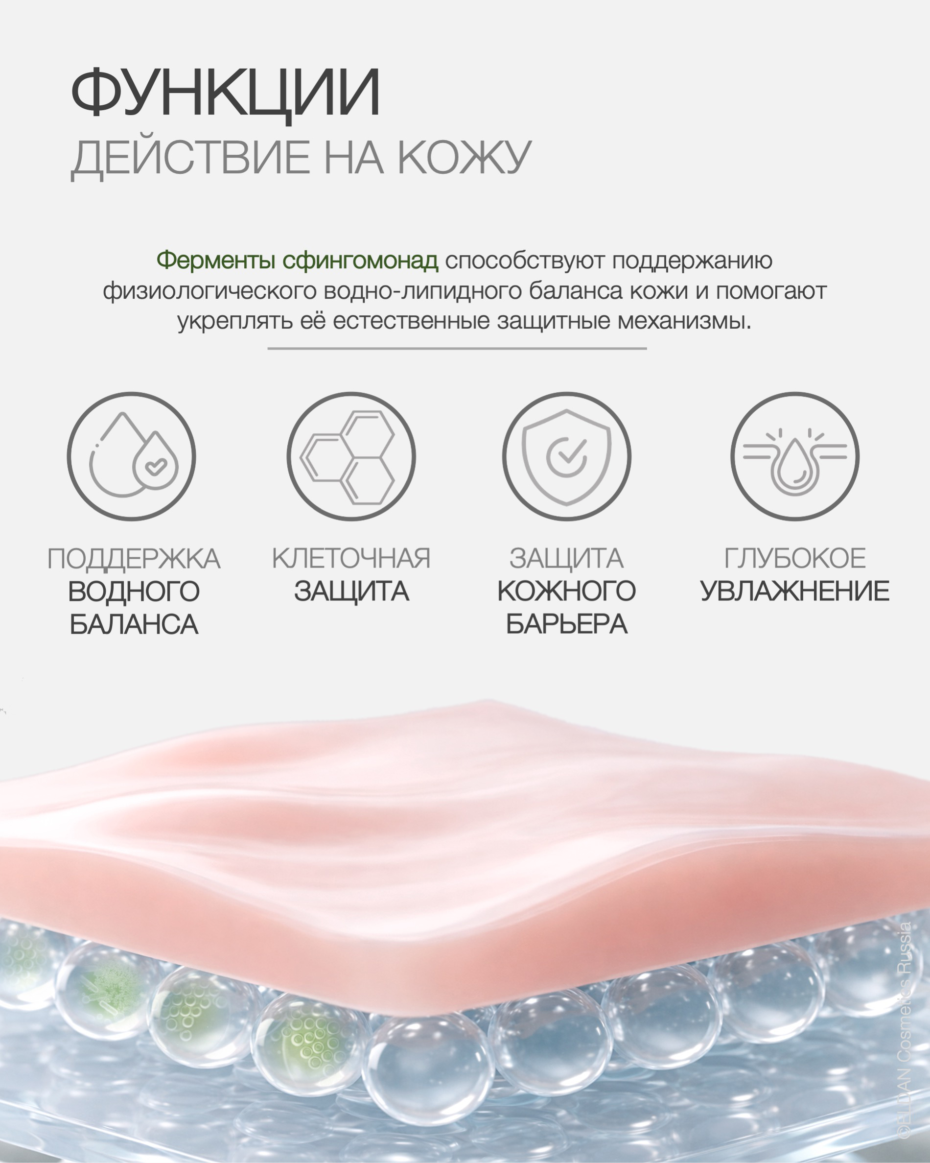 Пост сфингомонад 3.jpg